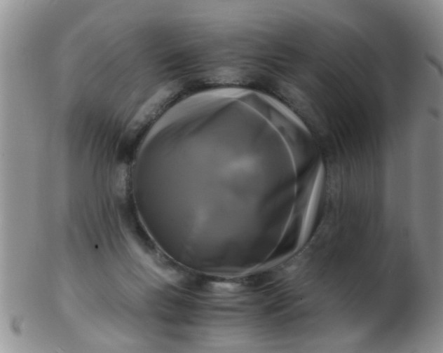 X0000103310167200809122059