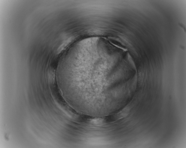 X0000103310168200809122059