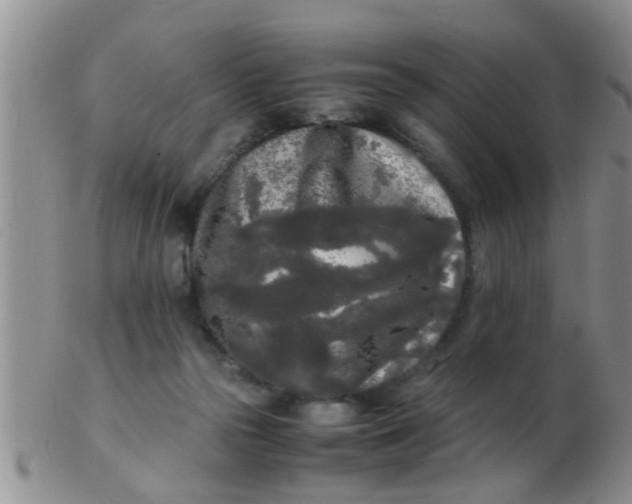X0000103310169200809122059