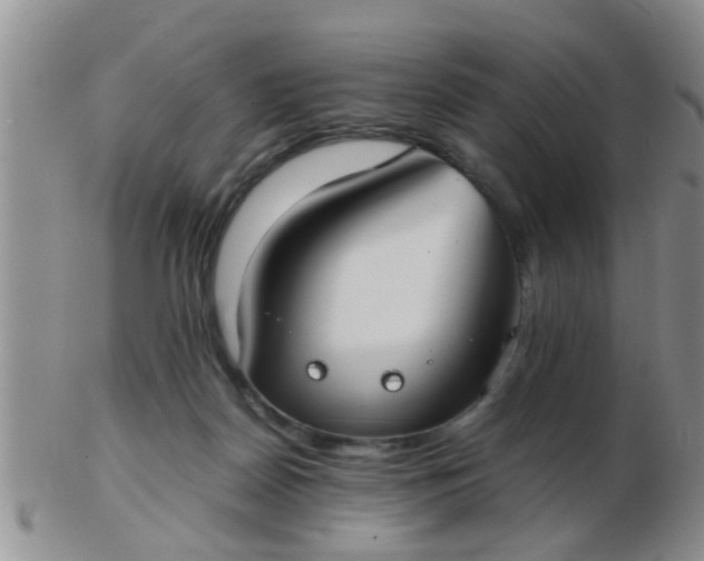 X0000103310170200809122059