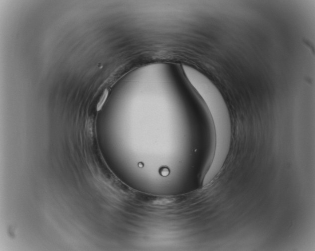 X0000103310172200809122059
