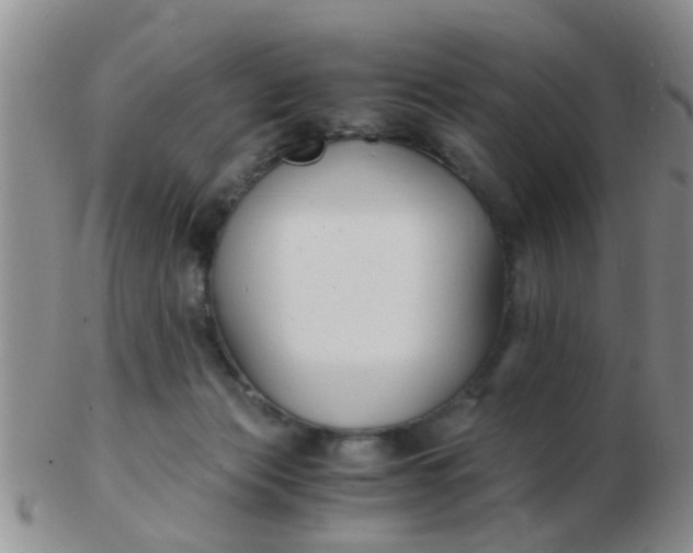 X0000103310173200809122059