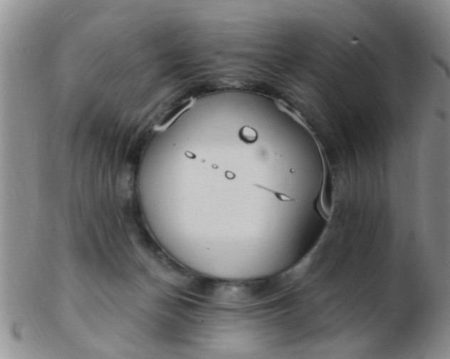 X0000103310174200809122059