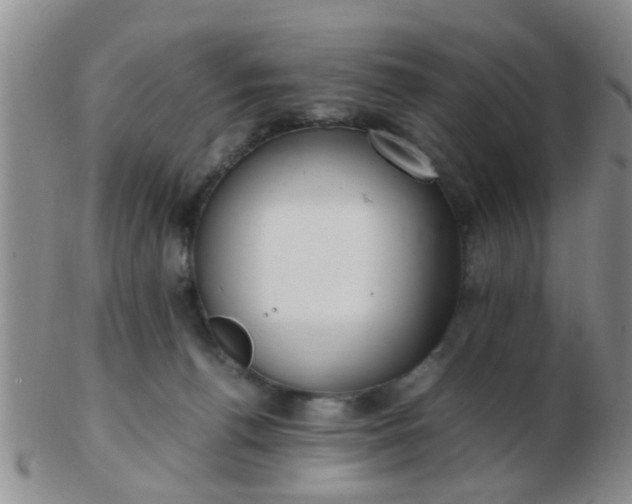 X0000103310176200809122100