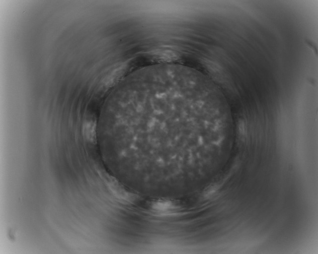 X0000103310177200809122100
