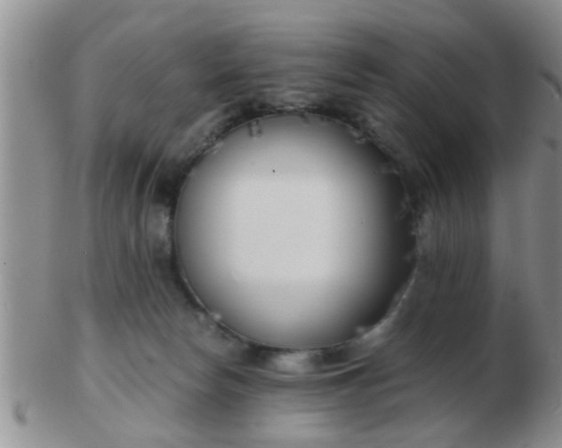 X0000103310178200809122100