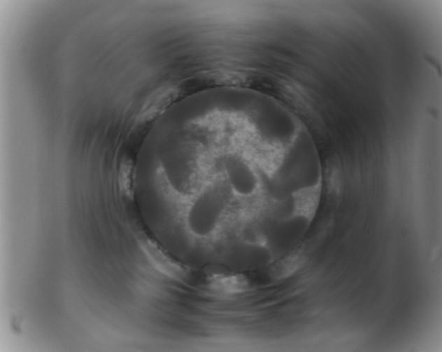 X0000103310185200809122100