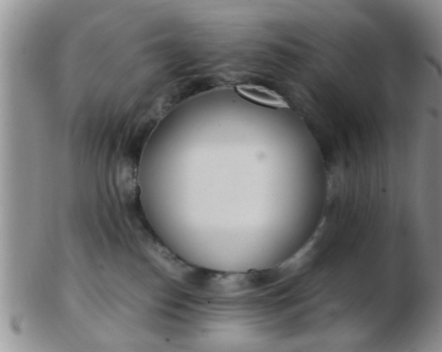 X0000103310186200809122100