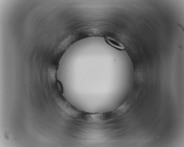 X0000103310188200809122100