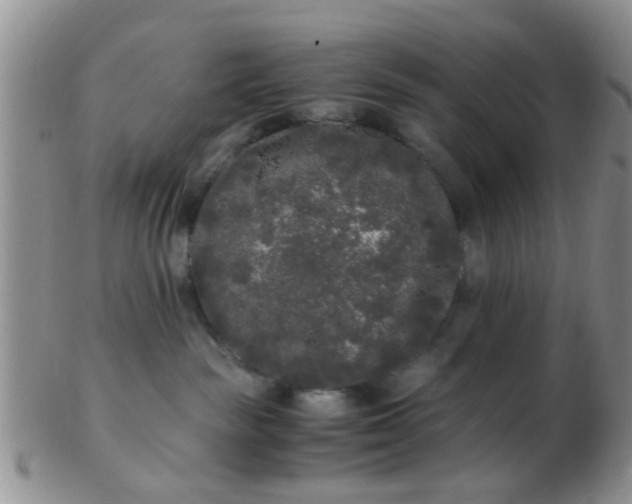 X0000103310189200809122100