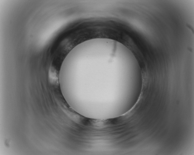 X0000103310191200809122100