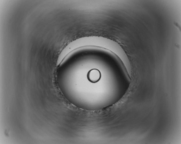 X0000103310192200809122100