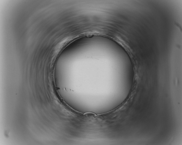 X0000103310193200809122059