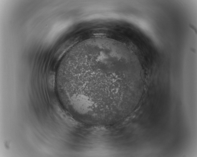 X0000103310194200809122059