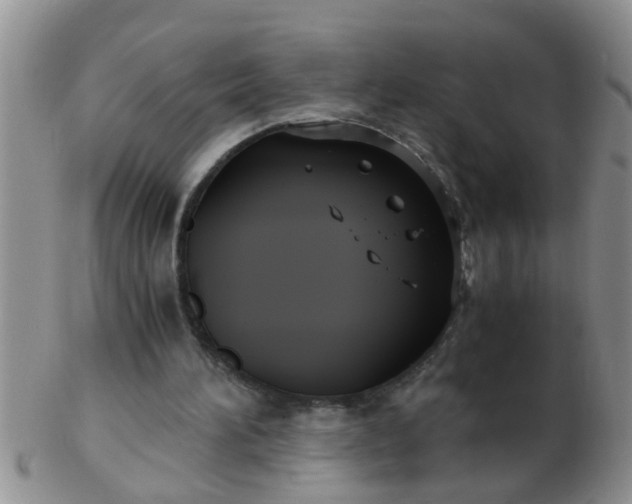 X0000103310196200809122059