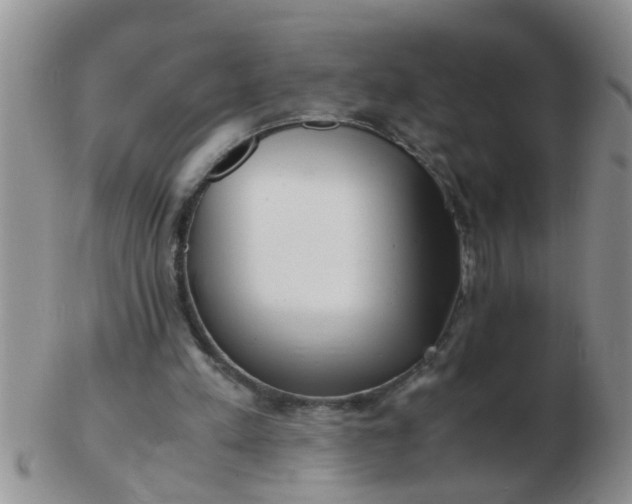 X0000103310197200809122059