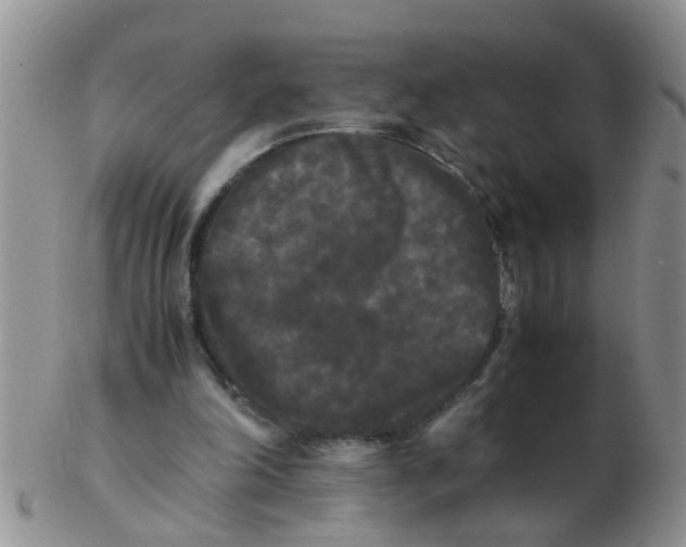 X0000103310198200809122059