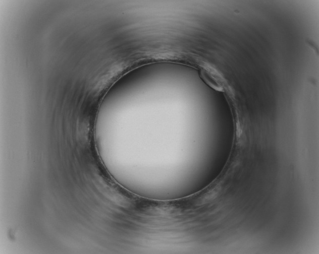 X0000103310201200809122059