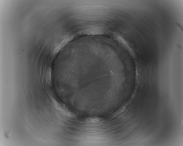X0000103310202200809122059