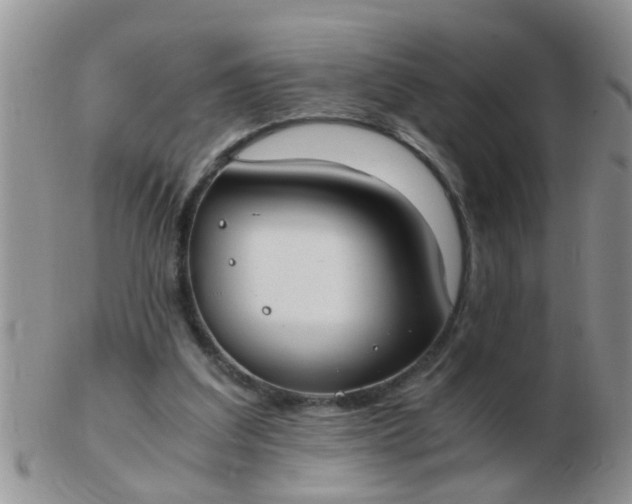 X0000103310203200809122059