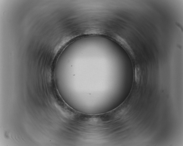 X0000103310204200809122059