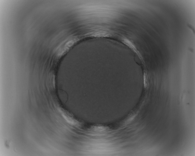 X0000103310205200809122059