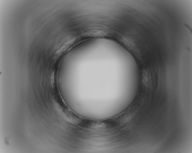 X0000103310206200809122059