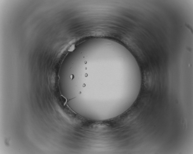 X0000103310208200809122059
