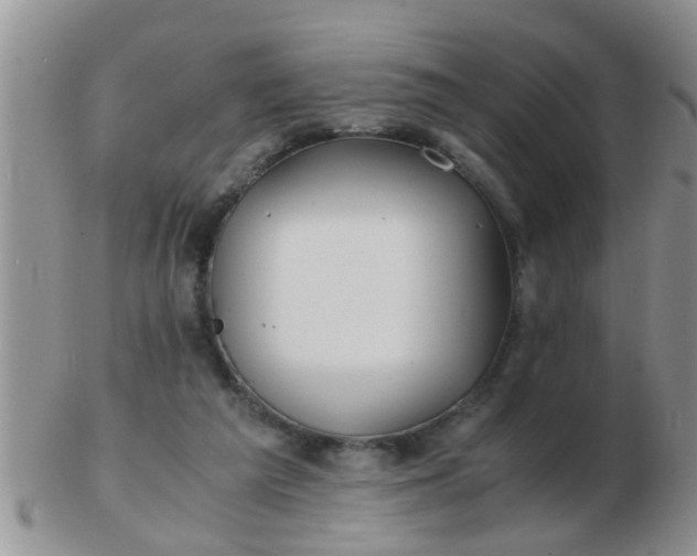 X0000103310209200809122059