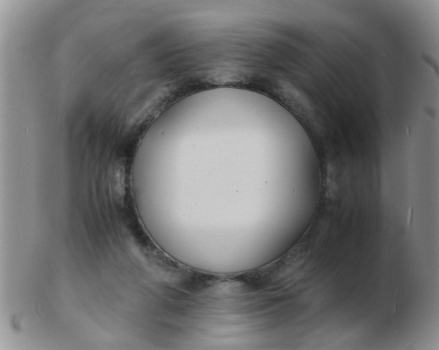 X0000103310210200809122059