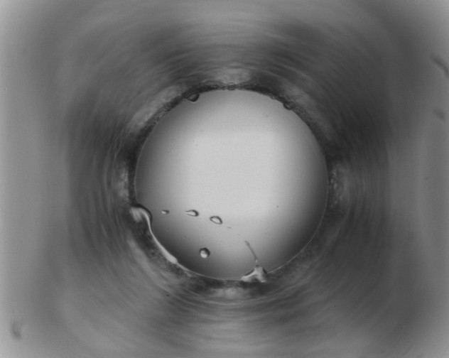 X0000103310212200809122059