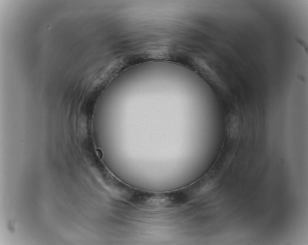 X0000103310213200809122059