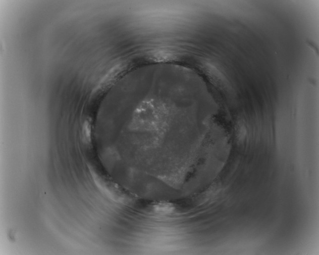 X0000103310214200809122059