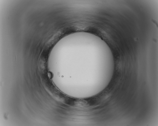 X0000103310215200809122059