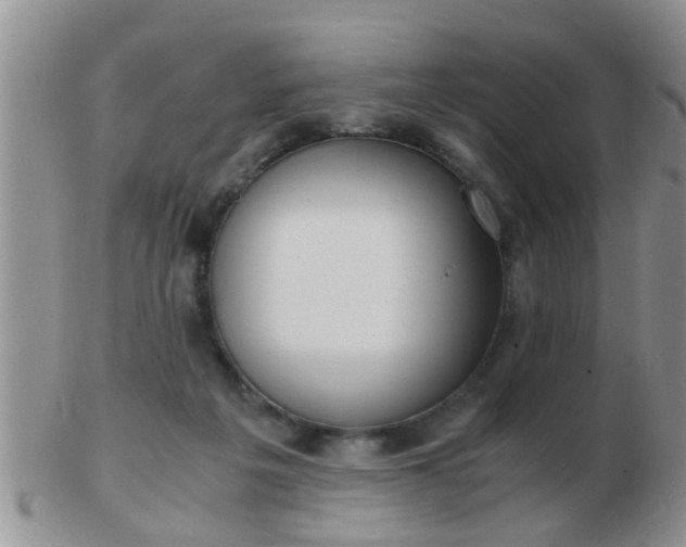 X0000103310217200809122059