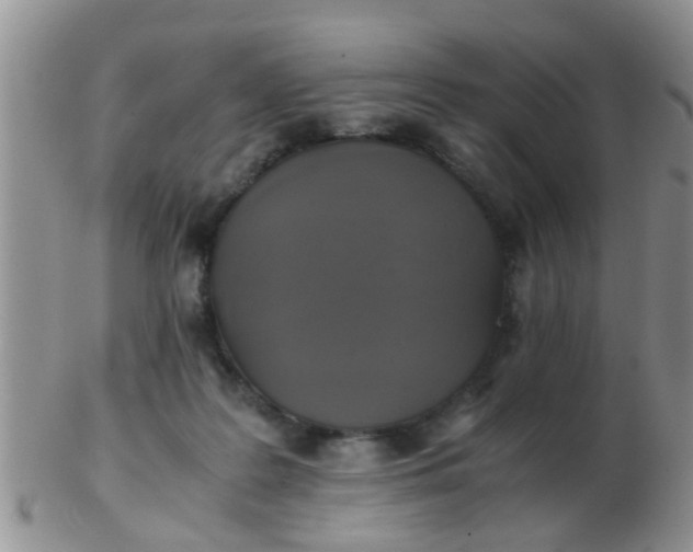 X0000103310219200809122059