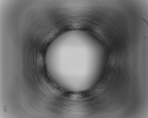 X0000103310220200809122059
