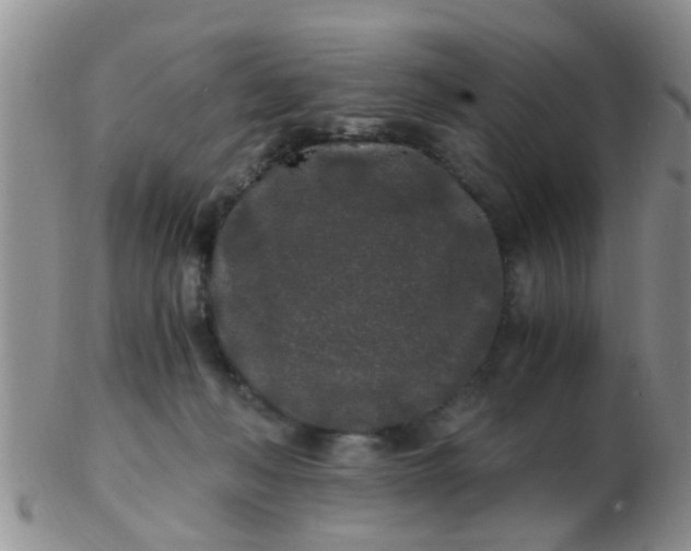 X0000103310222200809122059