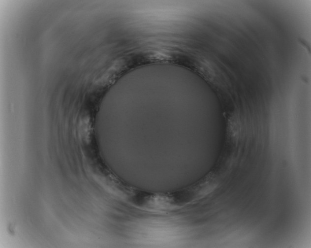 X0000103310223200809122059