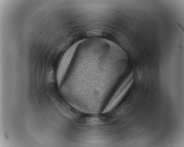 X0000103310224200809122059