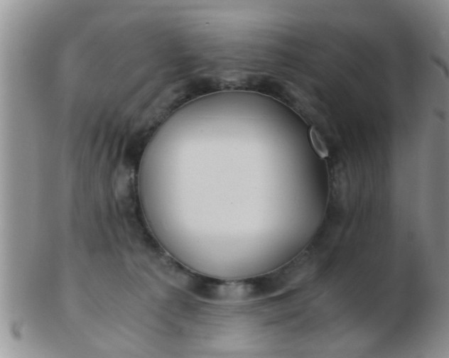 X0000103310225200809122059