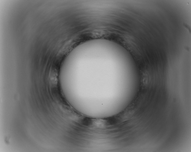 X0000103310226200809122059