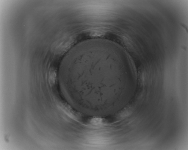 X0000103310227200809122059