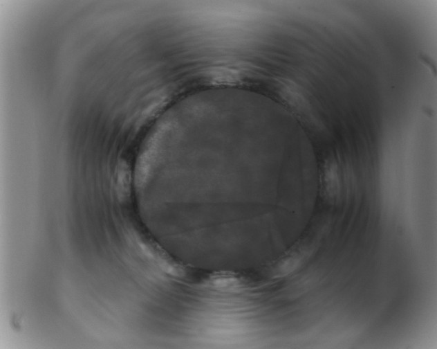 X0000103310228200809122059