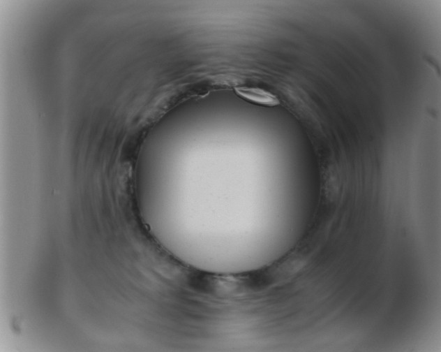 X0000103310229200809122059