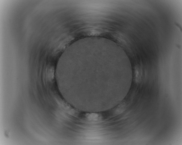 X0000103310230200809122059