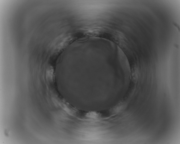 X0000103310231200809122059