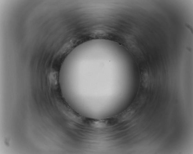 X0000103310232200809122059