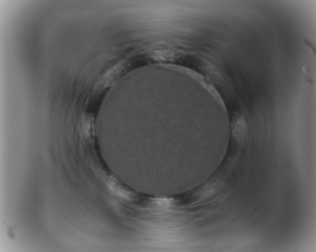 X0000103310233200809122059