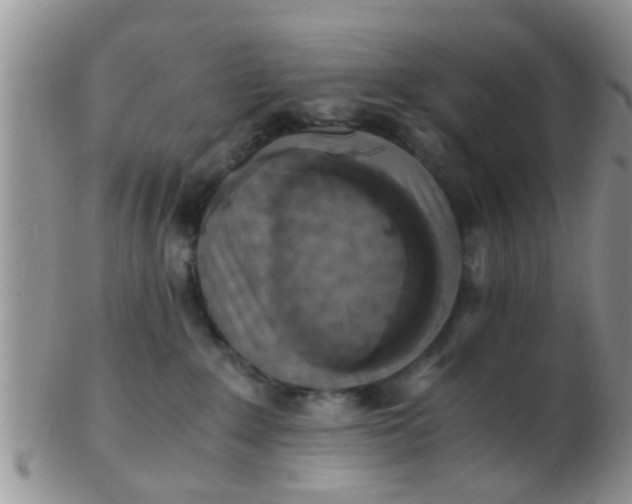X0000103310235200809122059